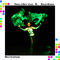 Wirbel-Workshop mit Desiderius M. Rainbow